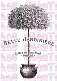 Belle jardinière - A4