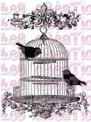 Cage aux deux oiseaux - A5