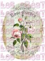 Rose garden ovale - A5
