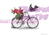 Vélo rose et oiseaux