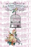 Cage banque centrale - A4