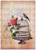 Cage oiseau fond beige - A4