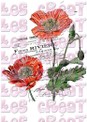 Coquelicots duo - A5