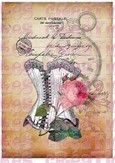 Corset et rose fond beige - A4