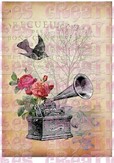 Gramophone et oiseaux fond beige - A4