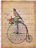 Oiseau sur grande roue fond beige - A4