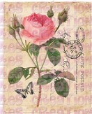 Rose fond beige - A4